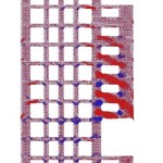 TJ.estructura TJ.estructura