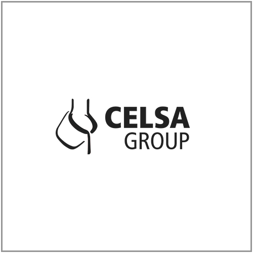 logo Celsa group