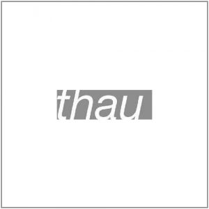 logo escola thau